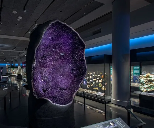 Site documentation — AMNH Gems and Minerals — View 2